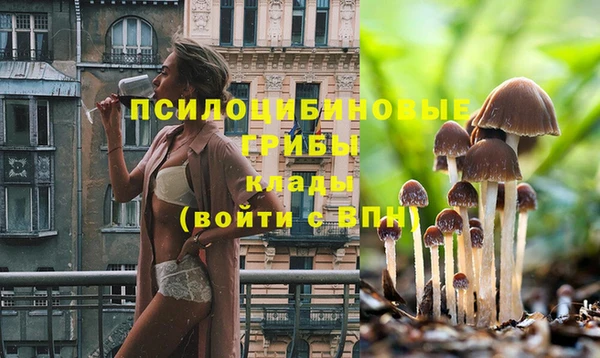 2c-b Балабаново